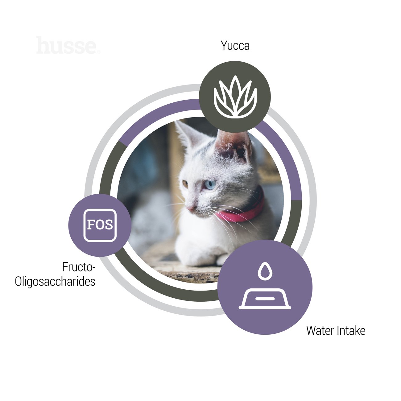 Exclusive Urinary, 2 kg | Ushqimi i plotë i maces që ndihmon në ruajtjen e shëndetit urinar