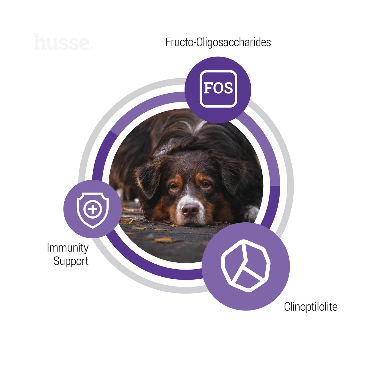 Senior, 12 kg | Ushqim i thatë i balancuar për të përmbushur nevojat unike të qenve të moshuar