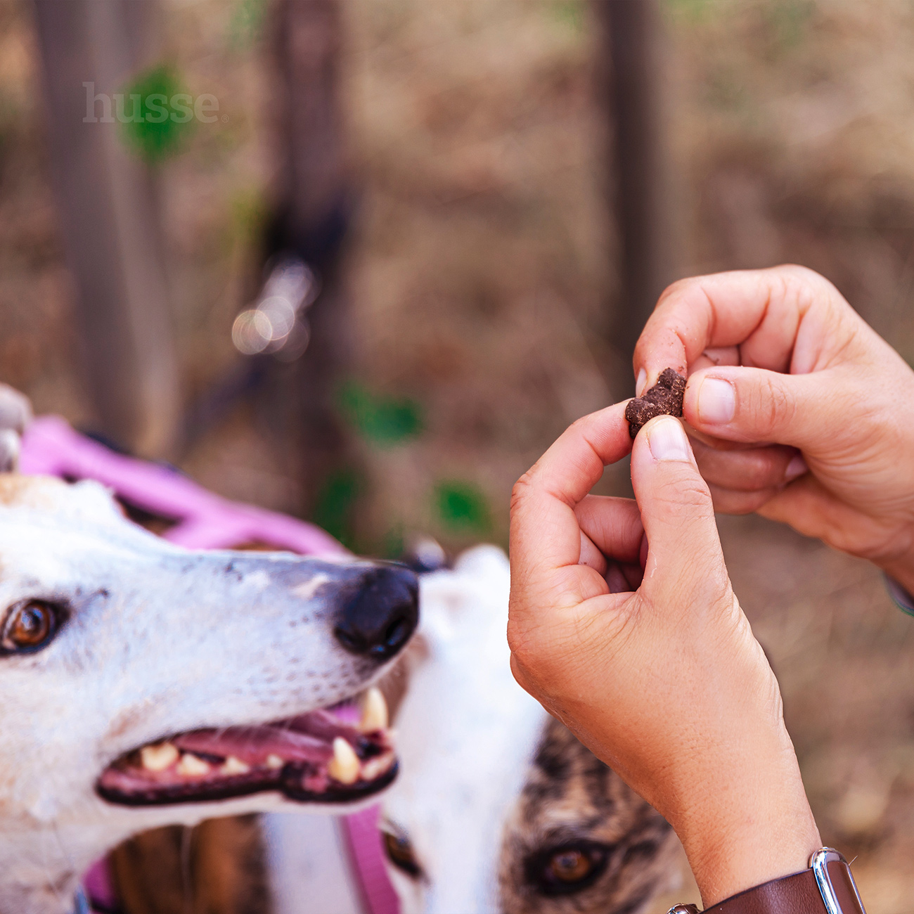 Bravo L, 150 g | Snacks pa gluten me mish qengji