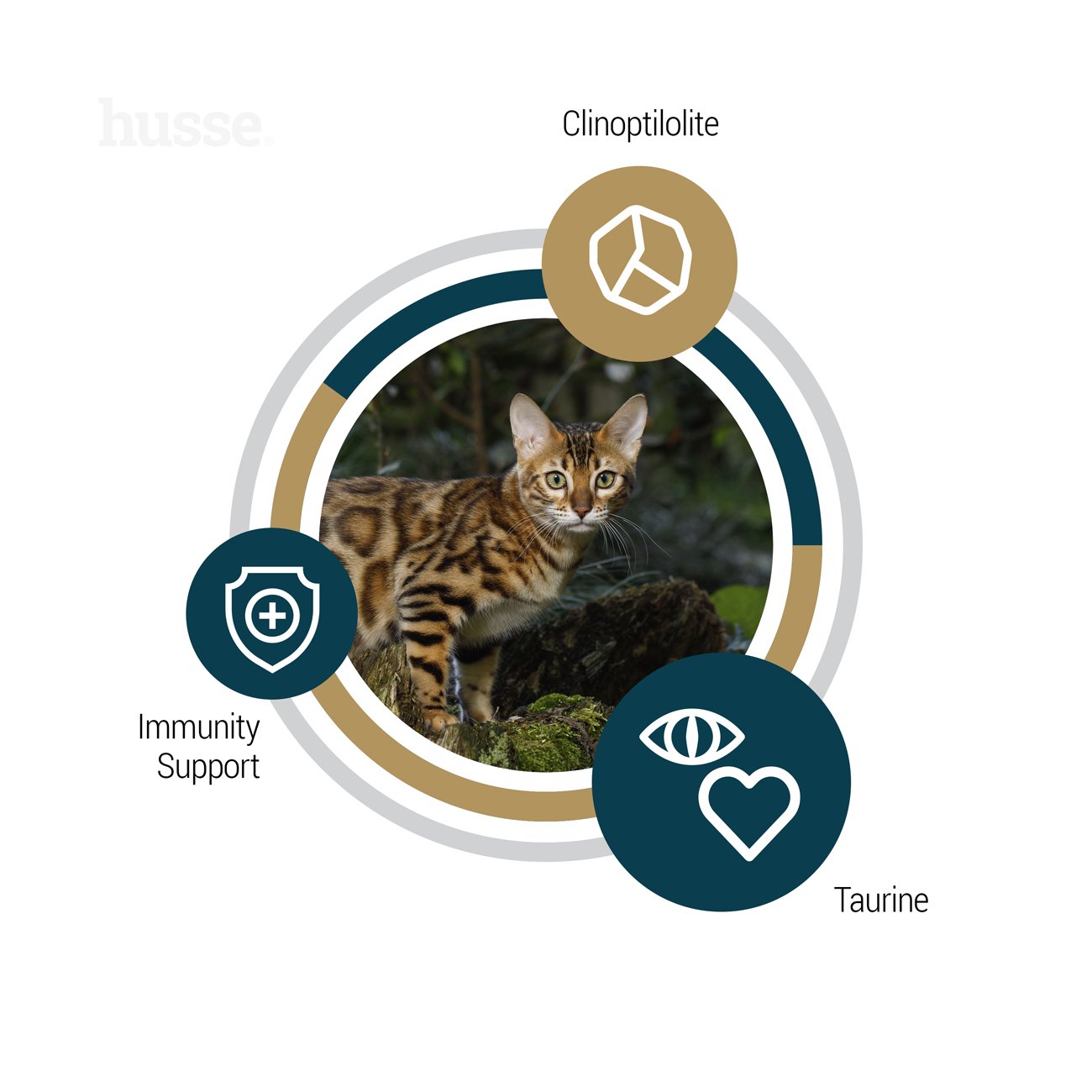 Lynx Senior, 7 kg | Ushqim krokant pa drithëra, për macet e moshuara me lëkurë dhe stomak të ndjeshëm