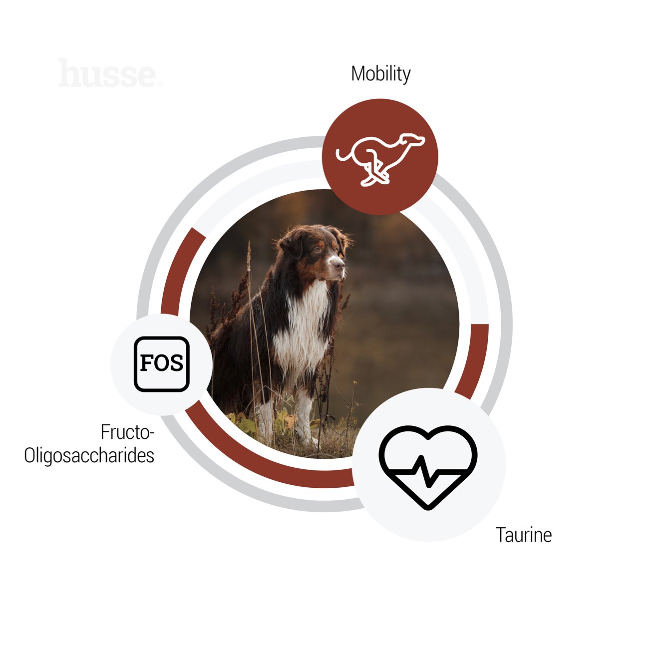 Sensitive Digest Giant, 12.5 kg | Recetë pa gluten me burime të kufizuara të proteinave shtazore