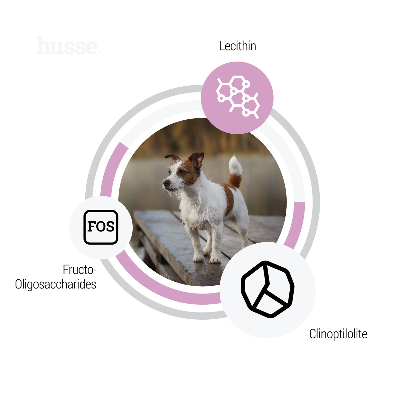 Sensitive Ocean Care Mini, 2 kg | Recetë pa gluten, me një burim të vetëm proteinash shtazore