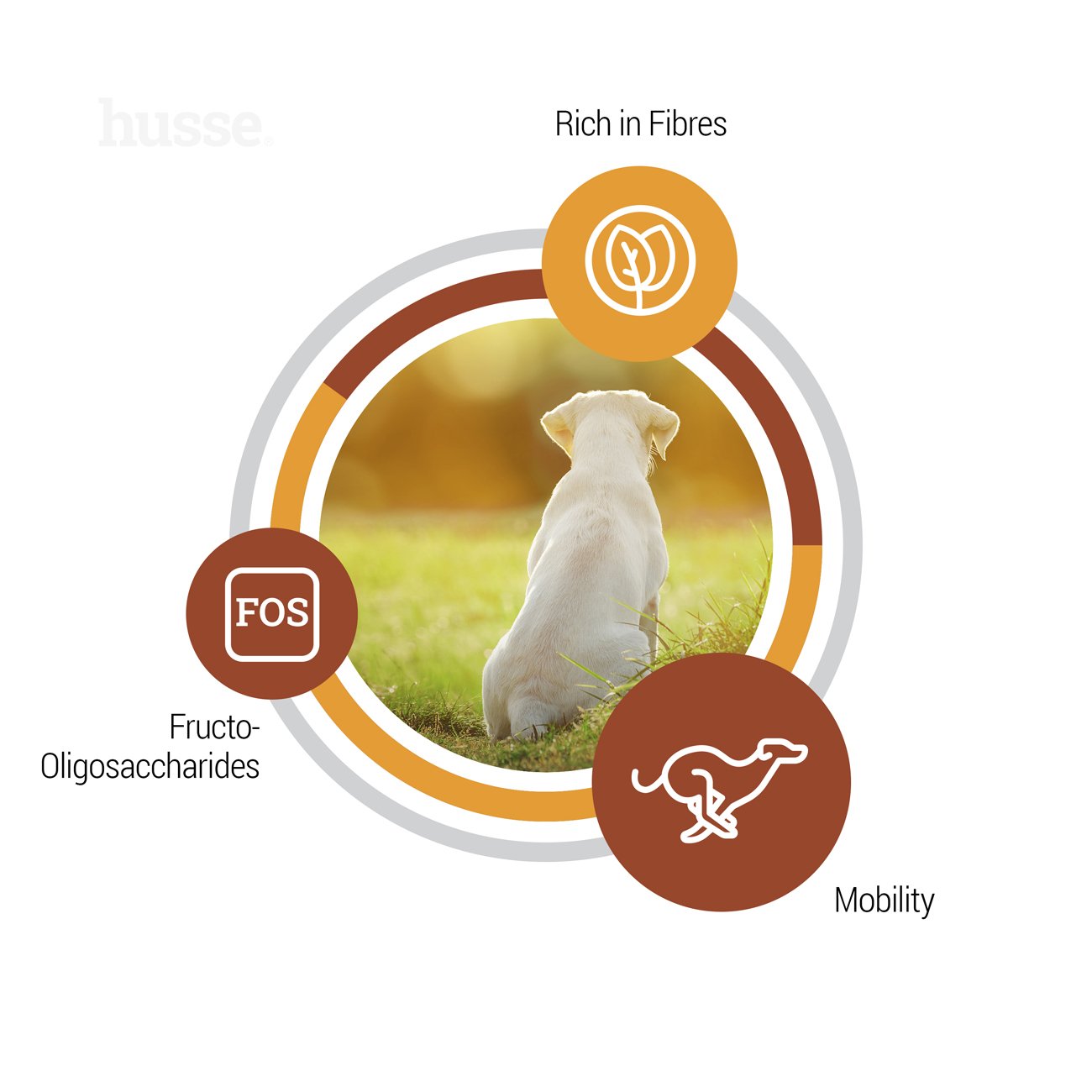 Valp Maxi, 12 kg | Mbështet nevojat e zhvillimit të këlyshëve të racave të mëdha