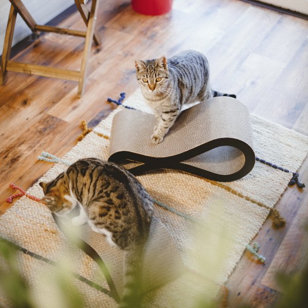 Krusa, 1 pce | Objekt gërvishtës për ta mbajtur macen tuaj aktive