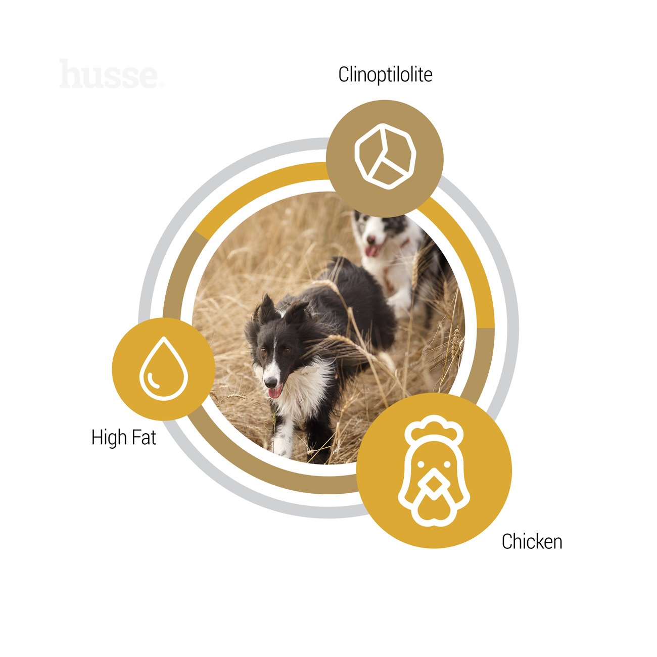 Opus Farm | Ushqim i plotë, pa drithëra për qentë aktivë me stomak të ndjeshëm