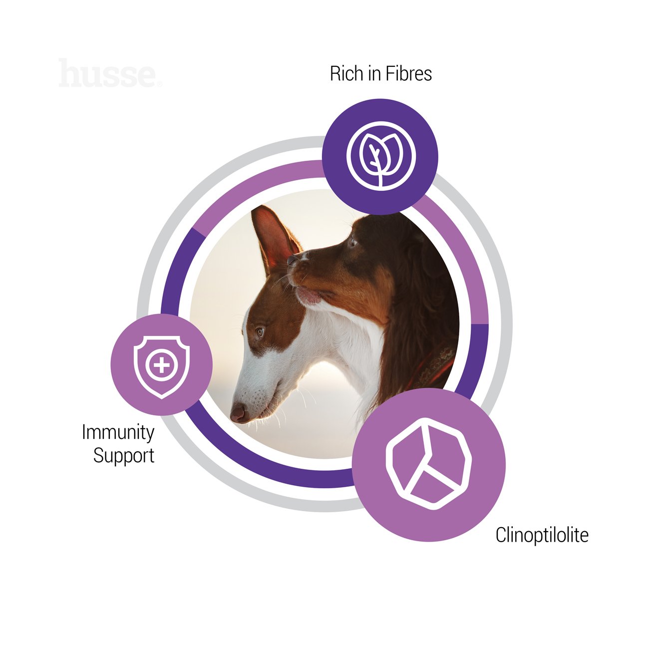 Sterilised, 12 kg | Ushqim i thatë i balancuar për të përmbushur nevojat unike të qenve të rritur të sterilizuar