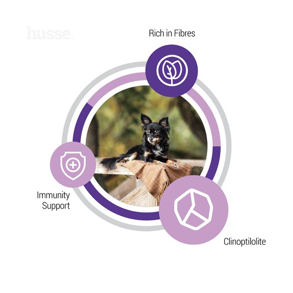 Sterilised Mini, 2 kg | Ushqim i plotë, me proteina të larta për mirëmbajtjen e gjendjes së trupit