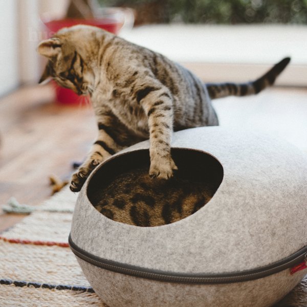 Krypin, 1 pce | Shtëpizë e mbuluar për të mbajtur macen tuaj të ngrohtë dhe komode