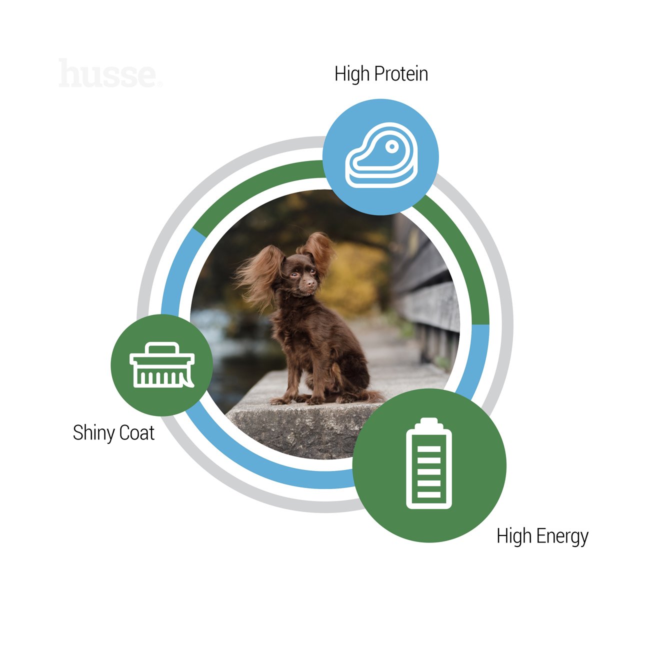 Optimal Mini, 2 kg | Ushqim i thatë për qentë trupvogël, pa gluten, i krijuar për të plotësuar nevojat e larta për energji
