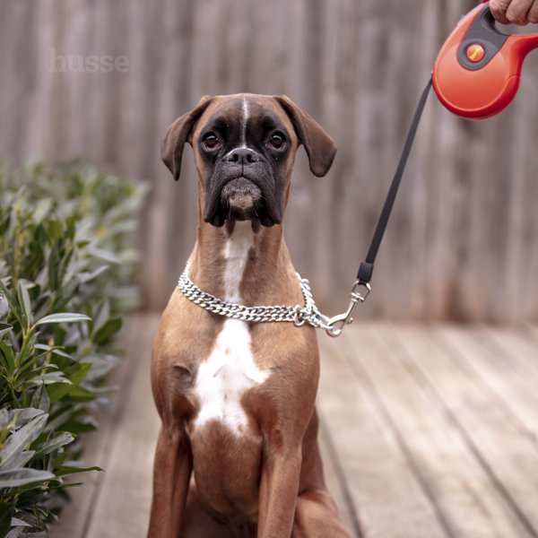 Rulle, 3 m | Rrip me sistem të tërheqshëm dhe ndalues me një buton