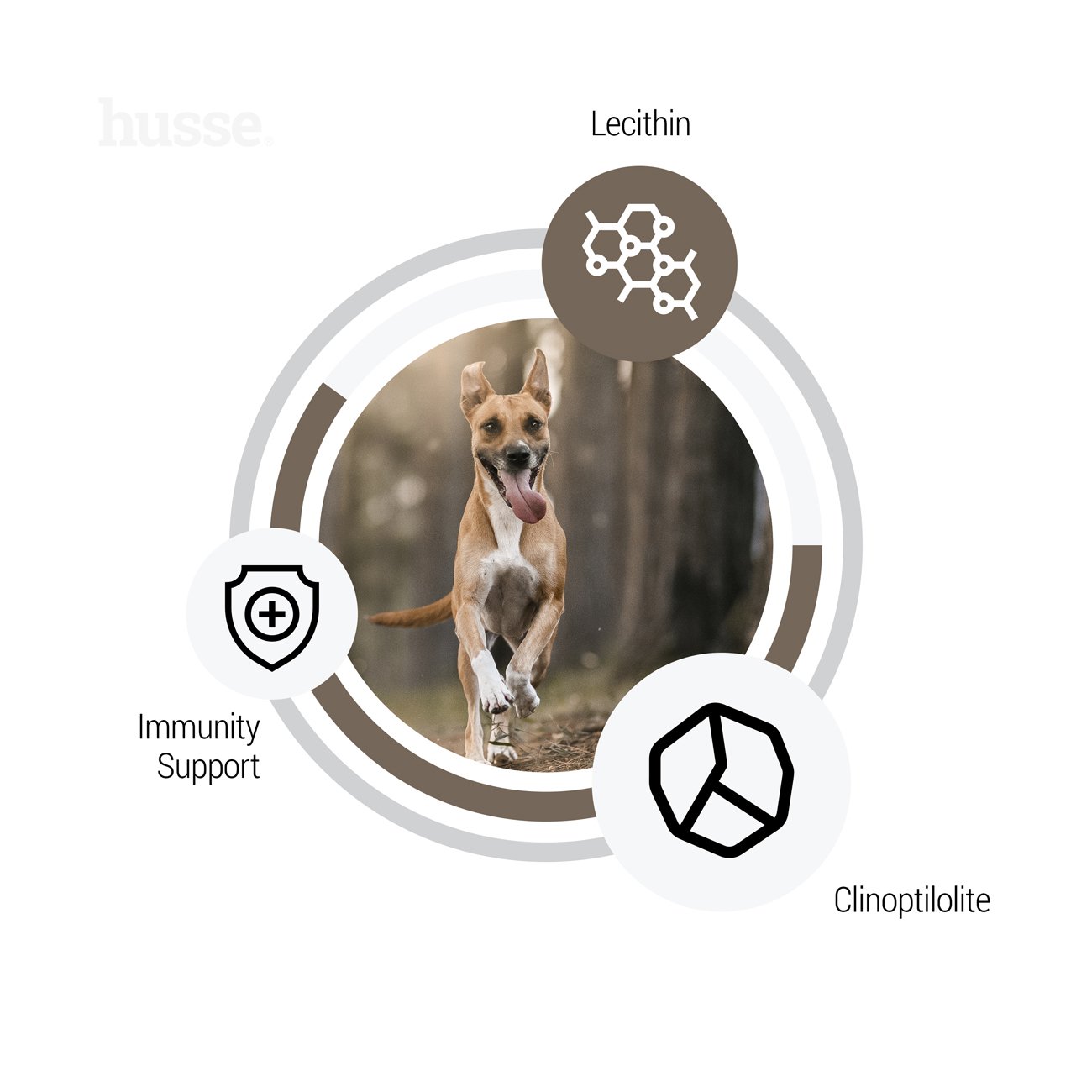 Sensitive Digest, 7 kg | Recetë pa gluten me burime të kufizuara të proteinave shtazore