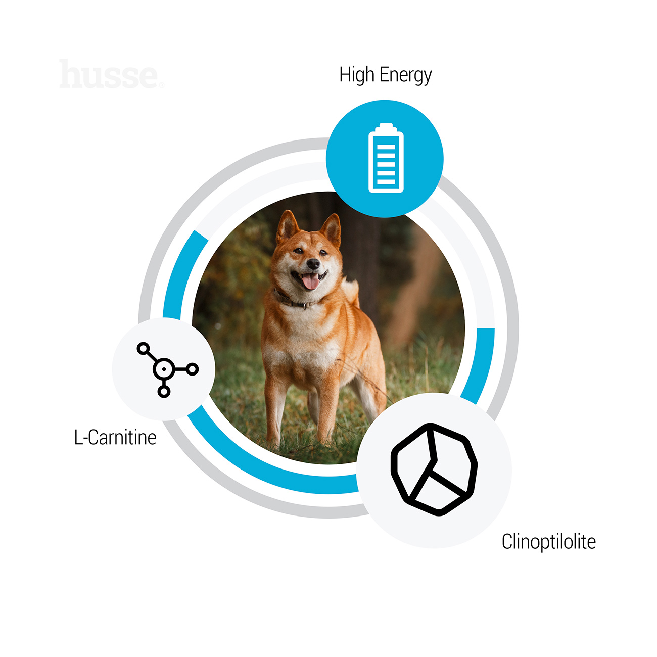 Sensitive Optimal, 12.5 kg | Ushqim i thatë pa gluten, i krijuar për qentë me sistem të ndjeshëm tretës dhe me nevoja të larta për energji