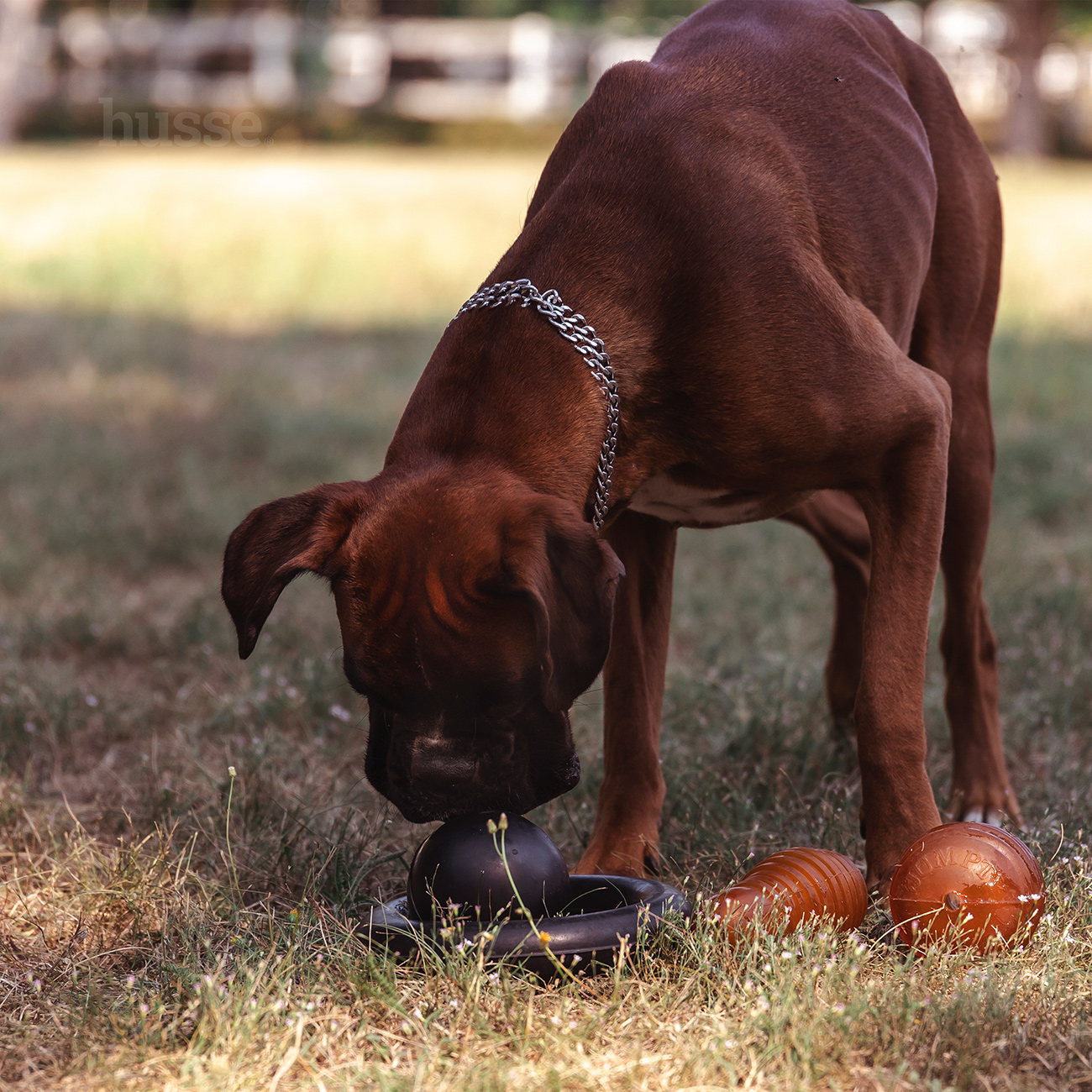 Kägel, S | Lodër për kafshë shtëpiake prej gome në formë koni bowling