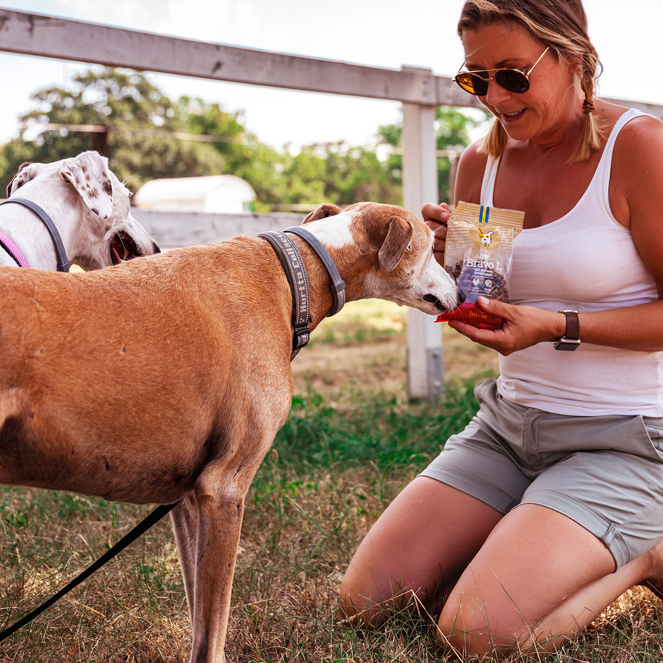 Bravo L, 150 g | Snacks pa gluten me mish qengji