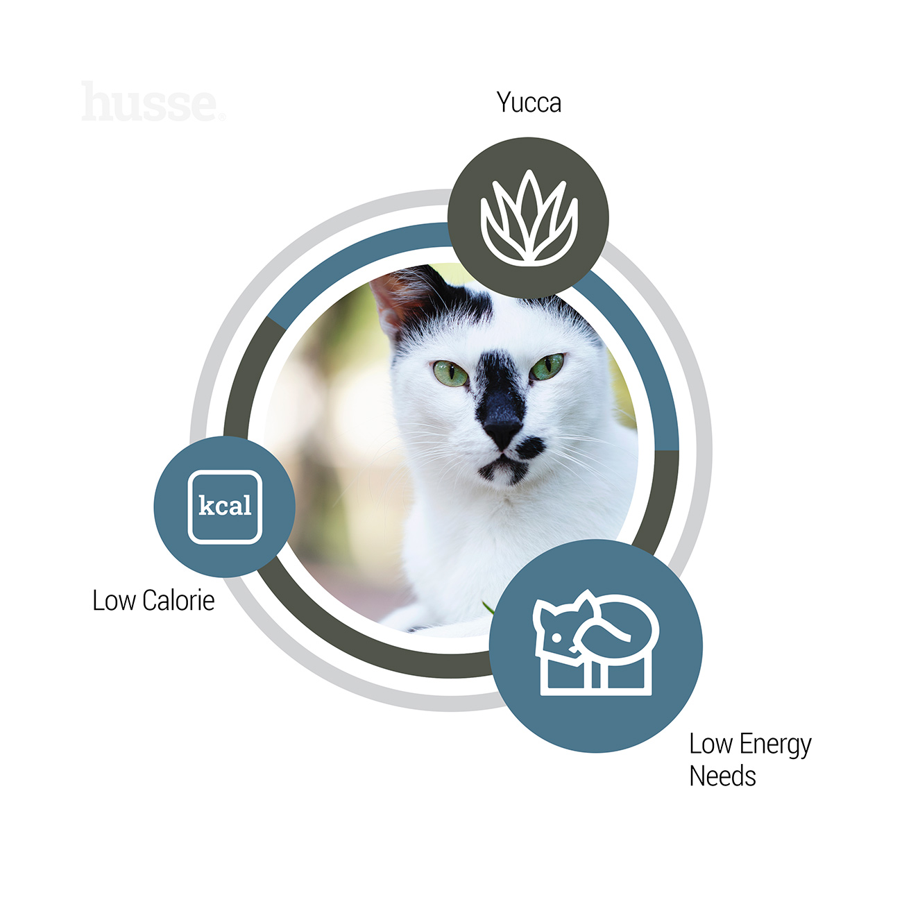 Exclusive Light, 2 kg | Ushqimi i thatë i maceve i krijuar për të ndihmuar në ruajtjen e peshës së përshtatshme