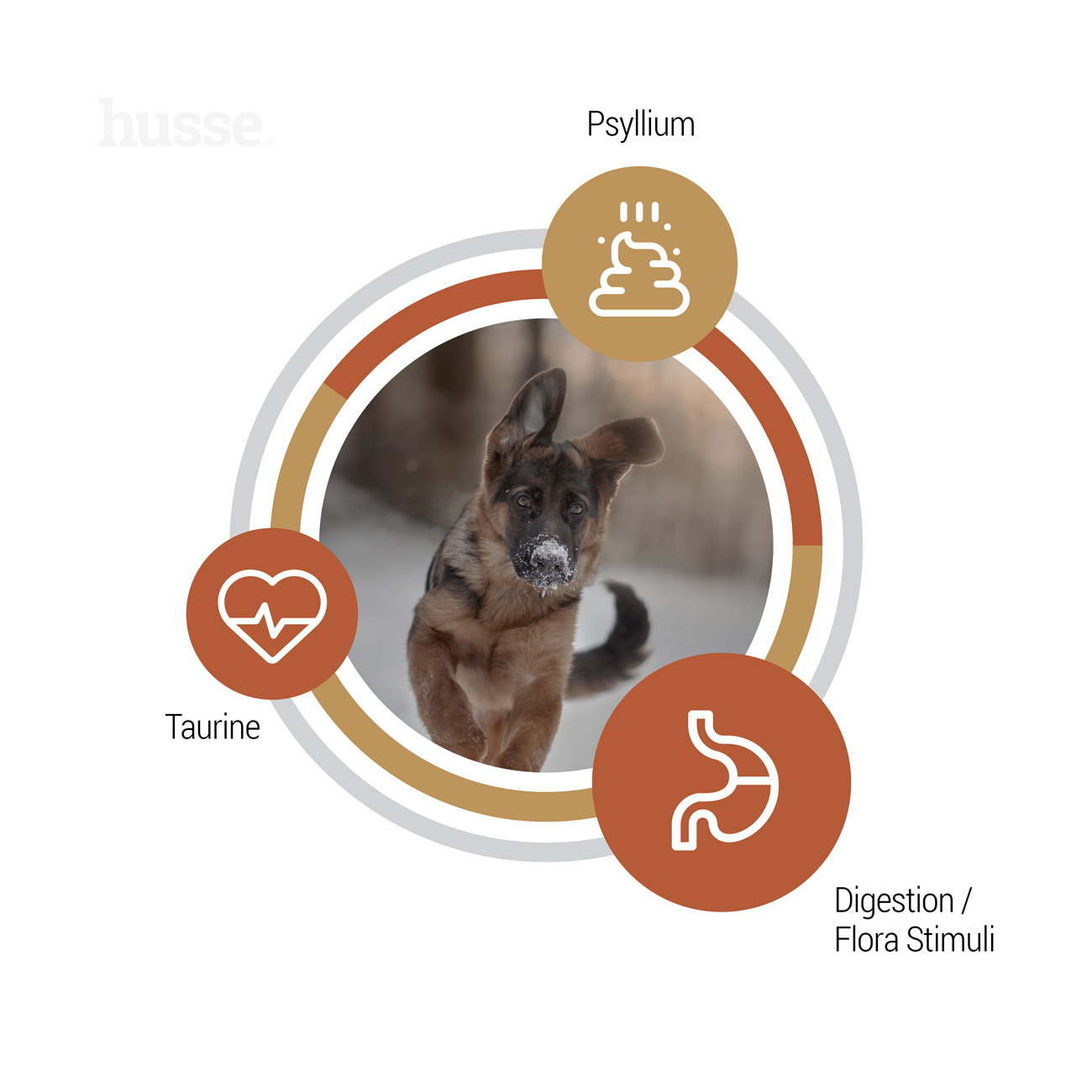 Valp Farm | Ushqim i thatë i plotë për këlyshët me ndjeshmëri dhe intolerancë tretëse