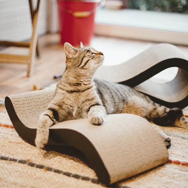 Krusa, 1 pce | Objekt gërvishtës për ta mbajtur macen tuaj aktive