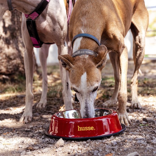 Bowl, S | Tas i qëndrueshëm për kafshët shtëpiake - prej çeliku inoks