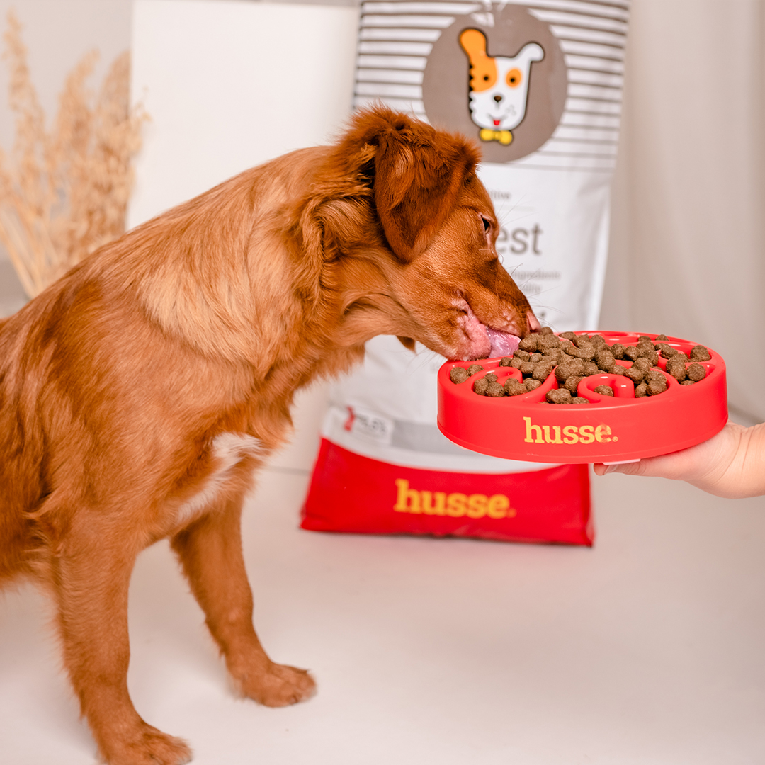 Sensitive Digest, 7 kg | Recetë pa gluten me burime të kufizuara të proteinave shtazore