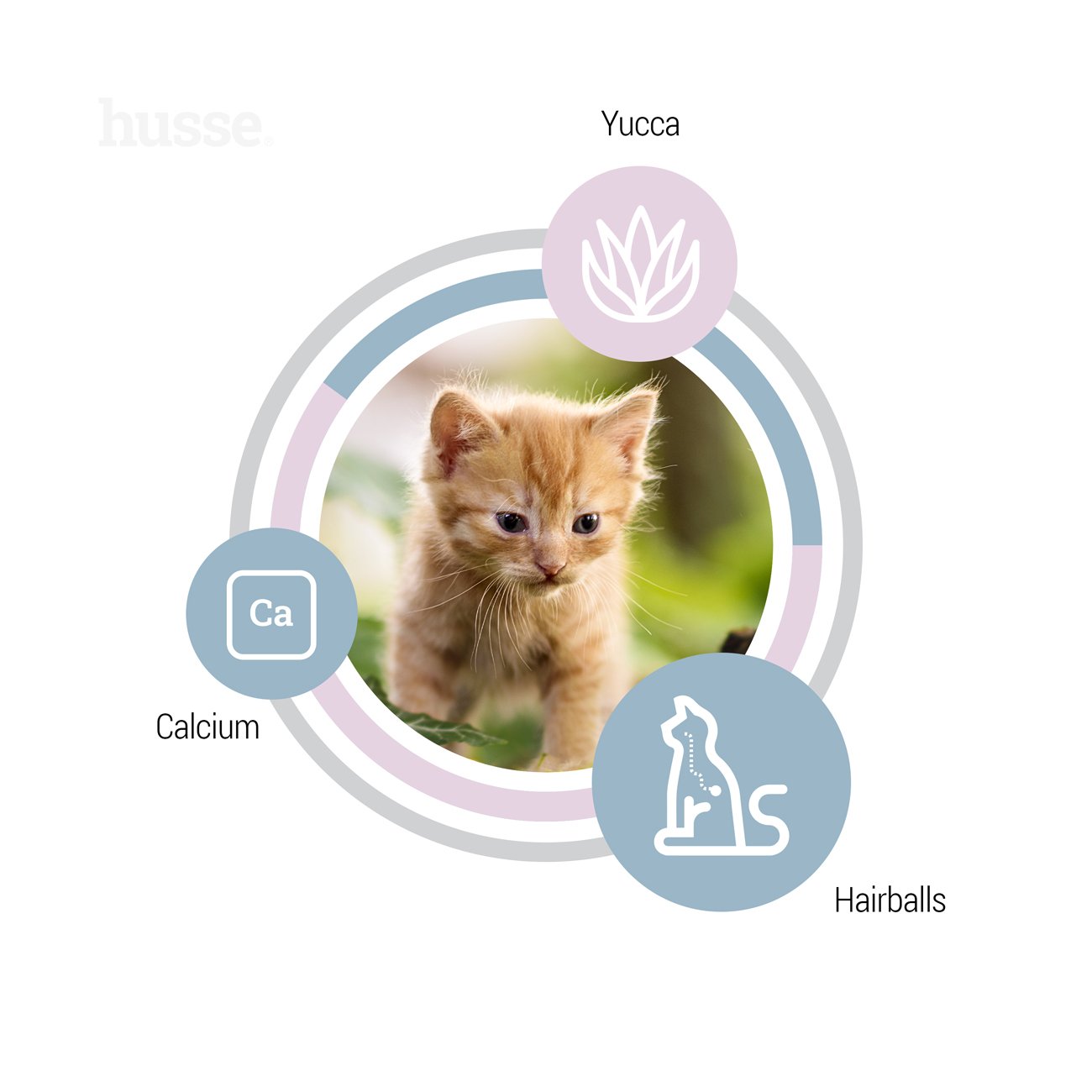 Exclusive Kattunge, 2 kg | Ushqim i plotë i krijuar posaçërisht për rritjen e koteleve