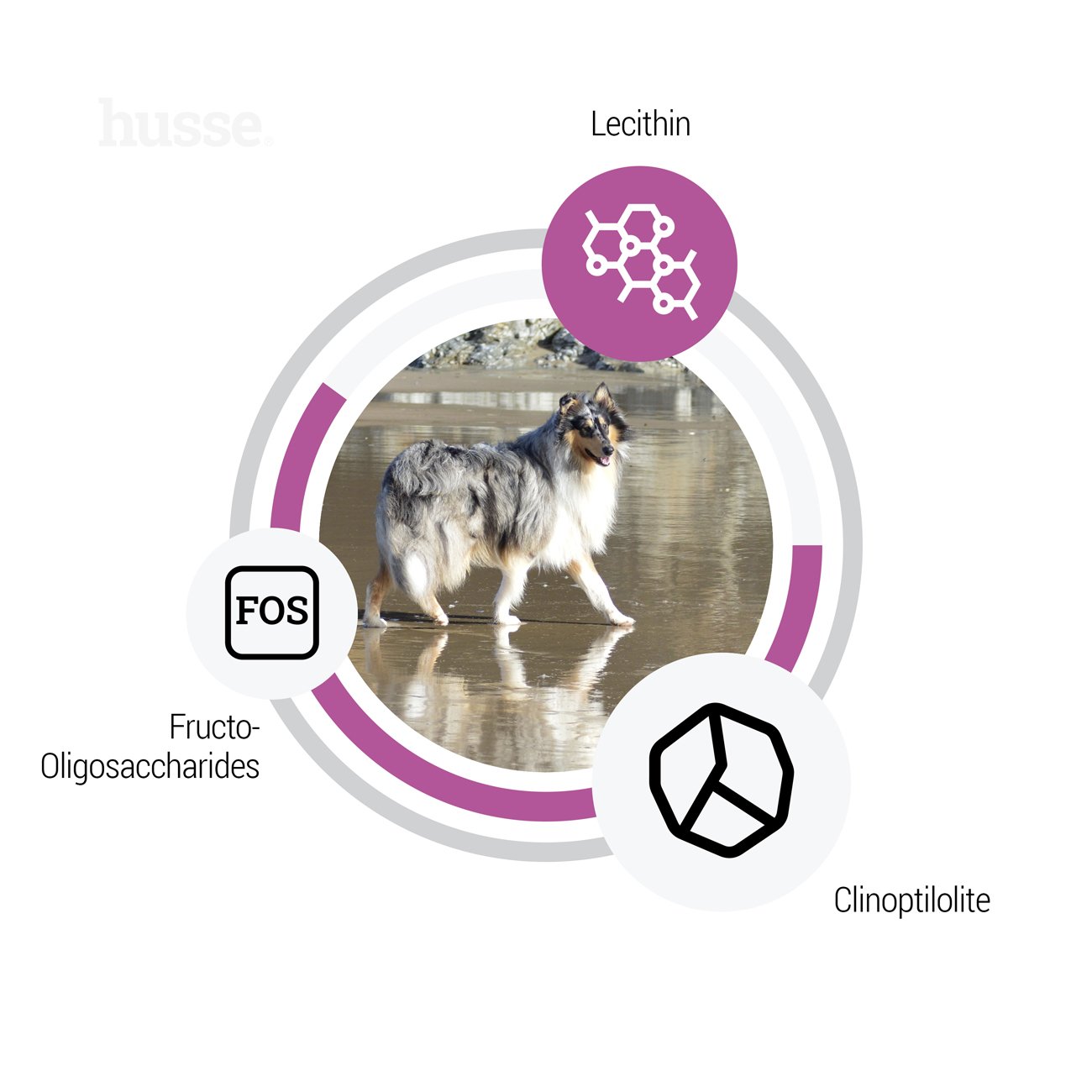 Sensitive Ocean Care, 12.5 kg | Recetë pa gluten, me një burim të vetëm proteinash shtazore