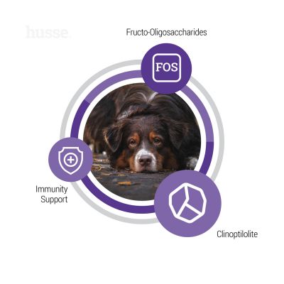 Senior, 12 kg | Ushqim i thatë i balancuar për të përmbushur nevojat unike të qenve të moshuar