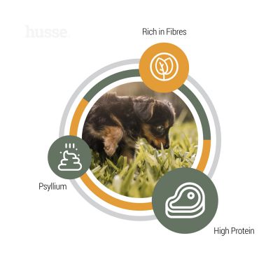 Valp Plus, 2 kg | Ushqim i plotë, me psilium dhe fibra vegjetale për tretje të qetë