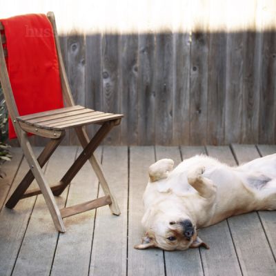 Blanket, S | Batanije e butë prej  pellushi për rehati maksimale