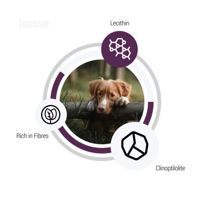 Sensitive Light, 12.5 kg | Ushqim i thatë pa gluten që shërben për menaxhim optimal të peshës