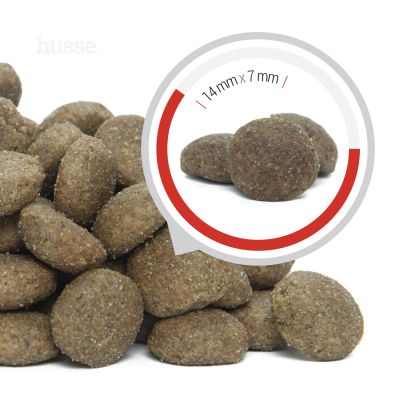 Pro Selekt, 15 kg | Ushqim i thatë pa gluten