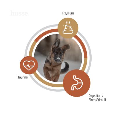 Valp Farm | Ushqim i thatë i plotë për këlyshët me ndjeshmëri dhe intolerancë tretëse