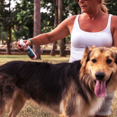 Pälsvårdsspray, 200 ml | Sprej shpërbërës për pastrim më të lehtë