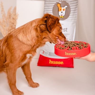 Sensitive Digest, 7 kg | Recetë pa gluten me burime të kufizuara të proteinave shtazore